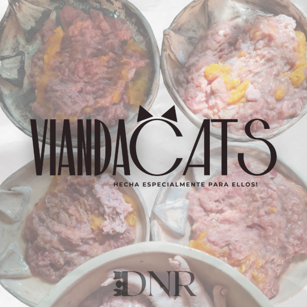 Producto - ViandaCATS 350gr