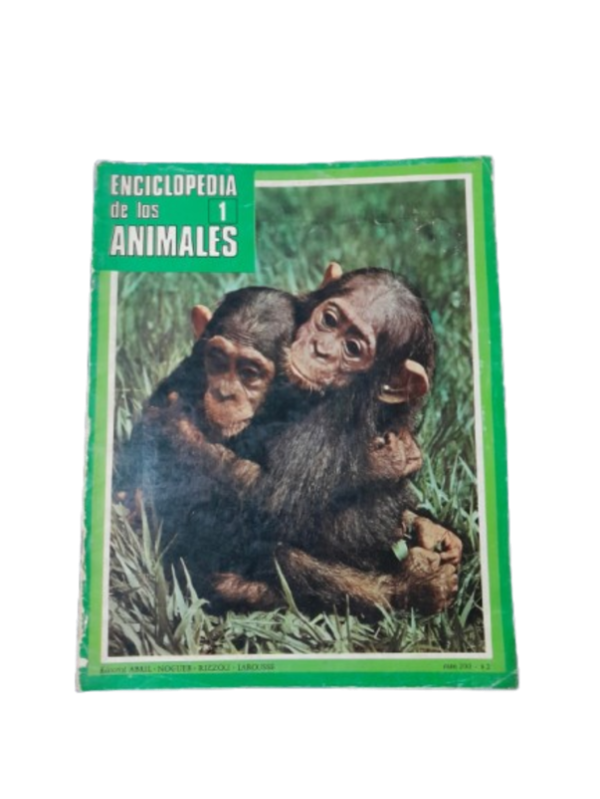 Miniatura de producto - 0