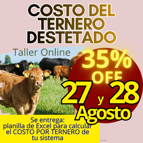 Producto - Taller Online: Costo del Ternero - 0
