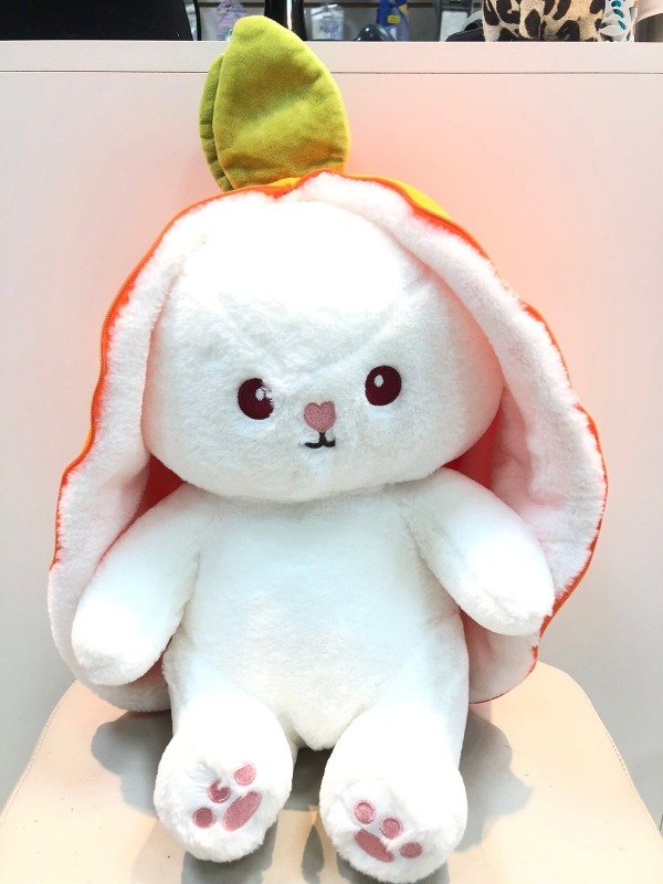 Producto - PELUCHE CON MANTA 4