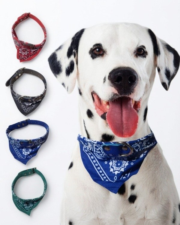 Producto - Collar Para Perros Medianos Con Pañuelo Varios Colores 45 Cm - 0
