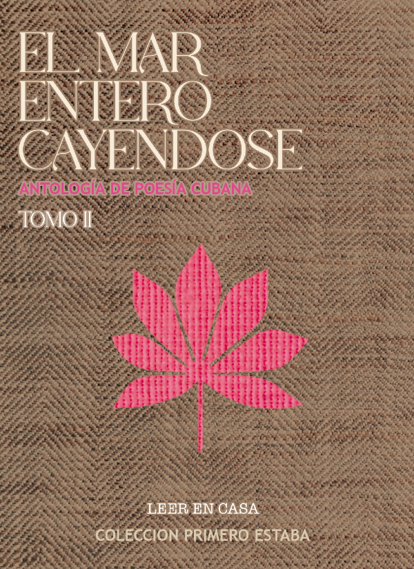 Producto - PROXIMAMENTE -  El mar entero cayéndose - TOMO II