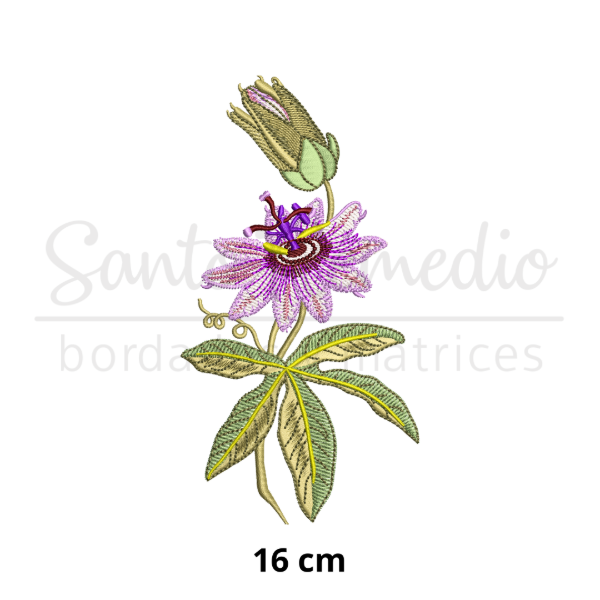 Producto - Pasionaria flor 16  cm matriz