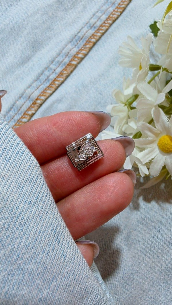Producto - Charms alita cubic AQ