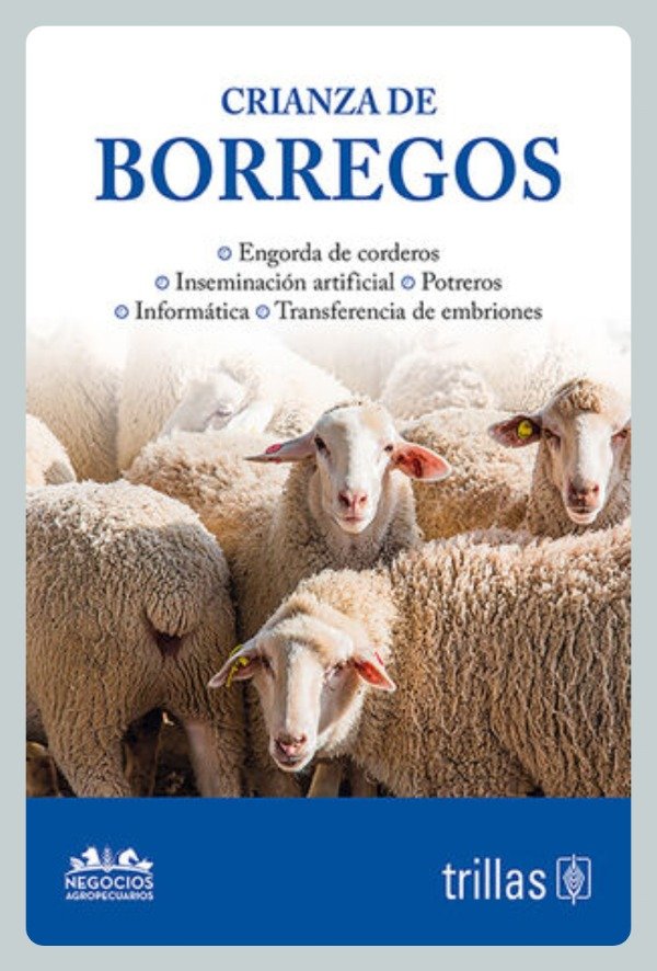 Producto - Crianza de Borregos