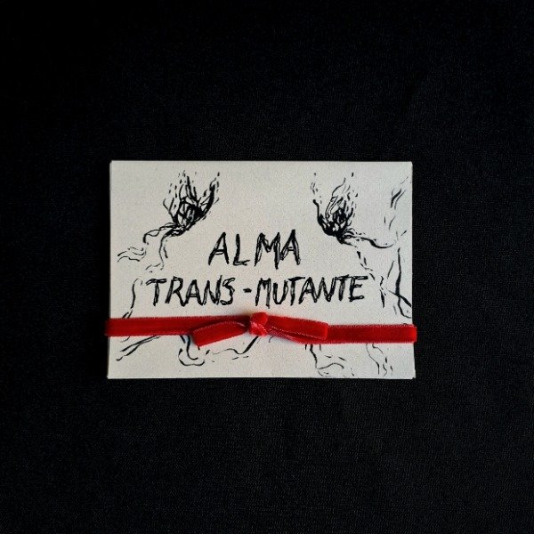 Producto - Alma Transmutante