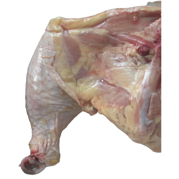Producto - Pollo: Pata muslo (congelada) - unidades por peso [Granja El Guajiro] - 1