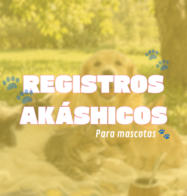 Producto - Registros Akashicos para mascotas - 0