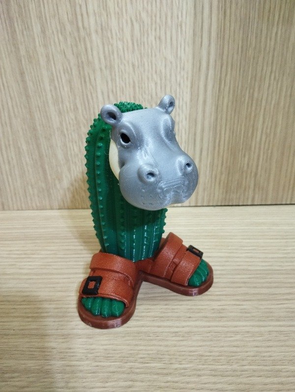 Producto - Il Cacto Hipopotamo