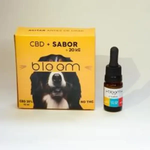 Producto - Aceite CBD Bloom Perro Grande 10 ml - 0
