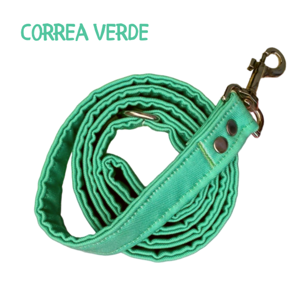 Producto - Correa VERDE