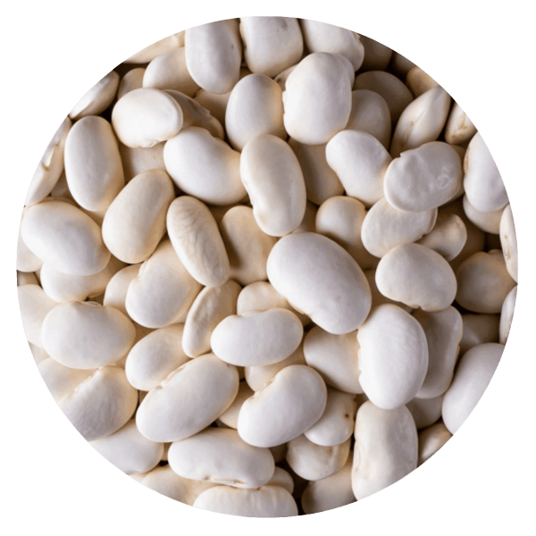 Producto - Porotos pallares