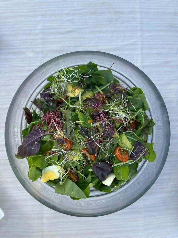Producto - Cultiva tus microgreens en casa - Online - 0