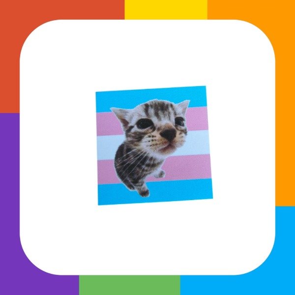 Producto - Sticker Gato meme trans