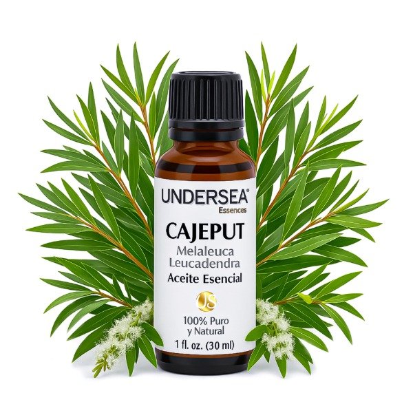 Producto - ACEITE ESENCIAL DE CAJEPUT (MELALEUCA LEUCADENDRA)