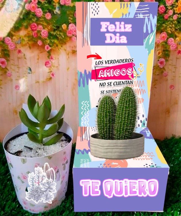 Miniatura de producto - 4