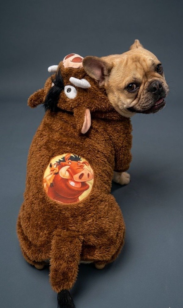 Producto - Buzo Pumba, Rey Leon
