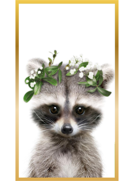 Producto - Cuadro Racoon Flowers