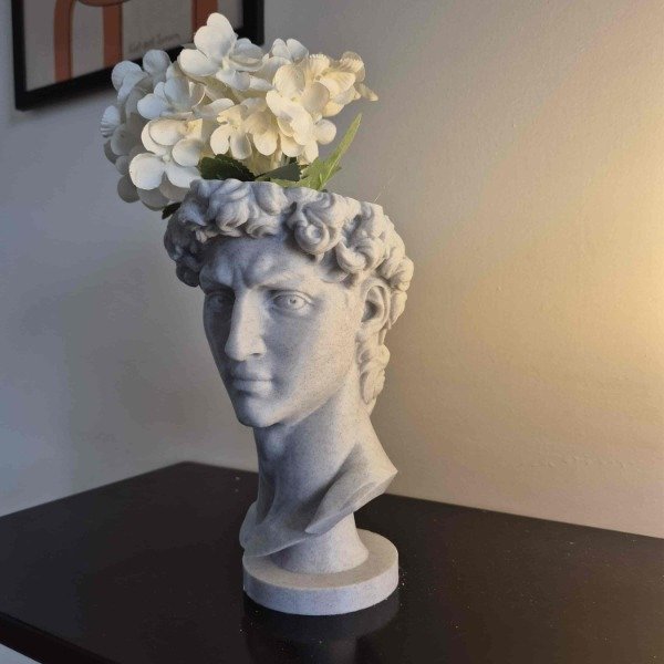 Producto - Maceta David