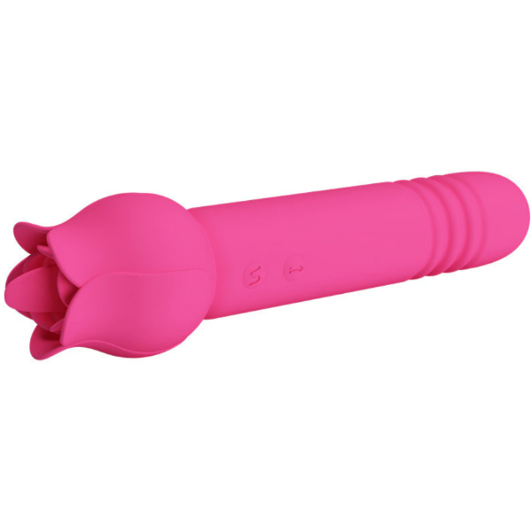 Producto - CHALEY ROSE - 3