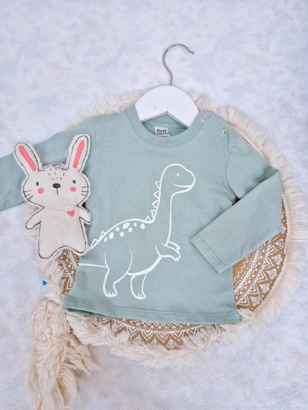 Producto - Remera DINOS