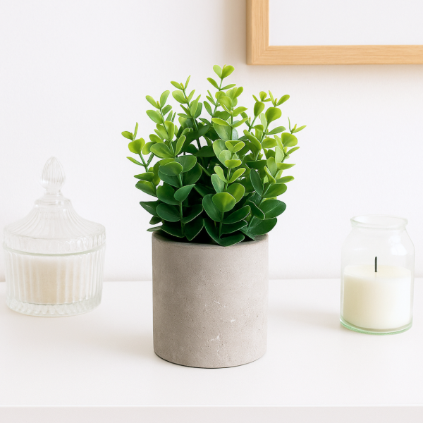 Producto - Plantitas con maceta cemento