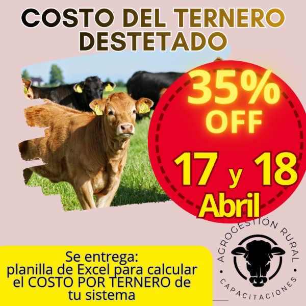 Producto - Taller Online: Costo del Ternero