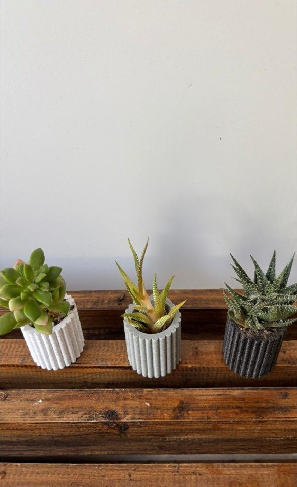 Producto - Mini maceta con imán y suculenta o cactus - 1