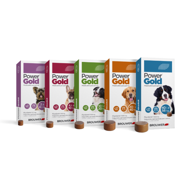Producto - COMPRIMIDO ANTI PULGAS Y GARRAPATAS POWER GOLD 3 MESES 4,5 A 10KG - 1