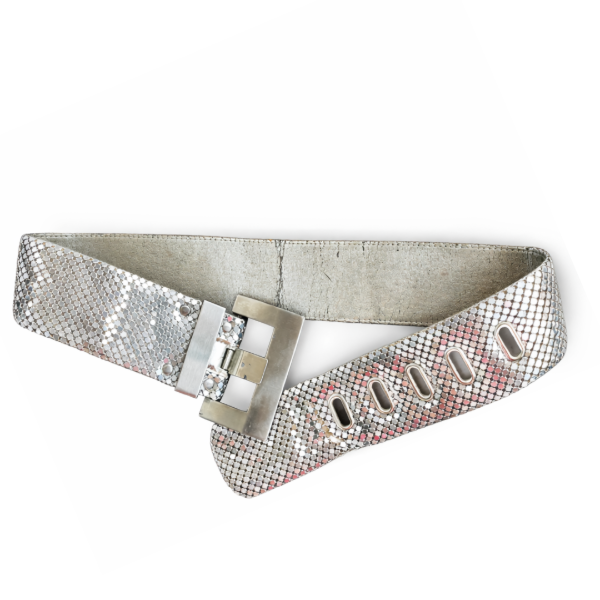 Producto - Y2K Shiny belt
