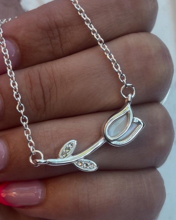 Producto - Conjunto11