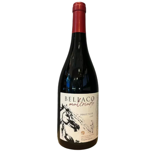Producto - Bellaco Malcriado Pinot Noir - 0