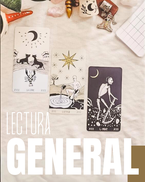 Producto - LECTURA GENERAL