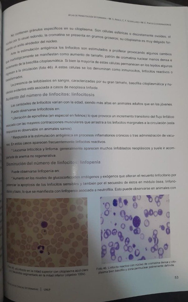 Producto - Arauz: Atlas de Hematología Veterinaria - 9