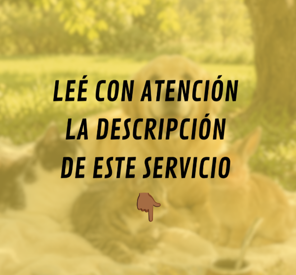 Producto - Registros Akashicos para mascotas - 3