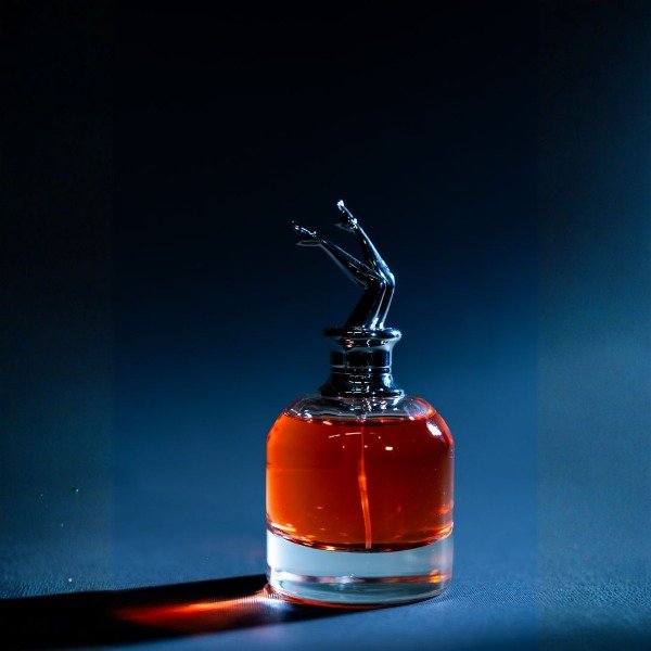 Producto - SC#ND#L F#M EDP 100ml (Type Scandal By Night - Jean Paul Gaultier)