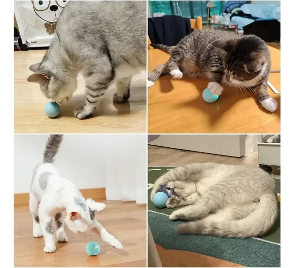 Producto - Pelota Interactiva Inteligente Recargable Perro Gato