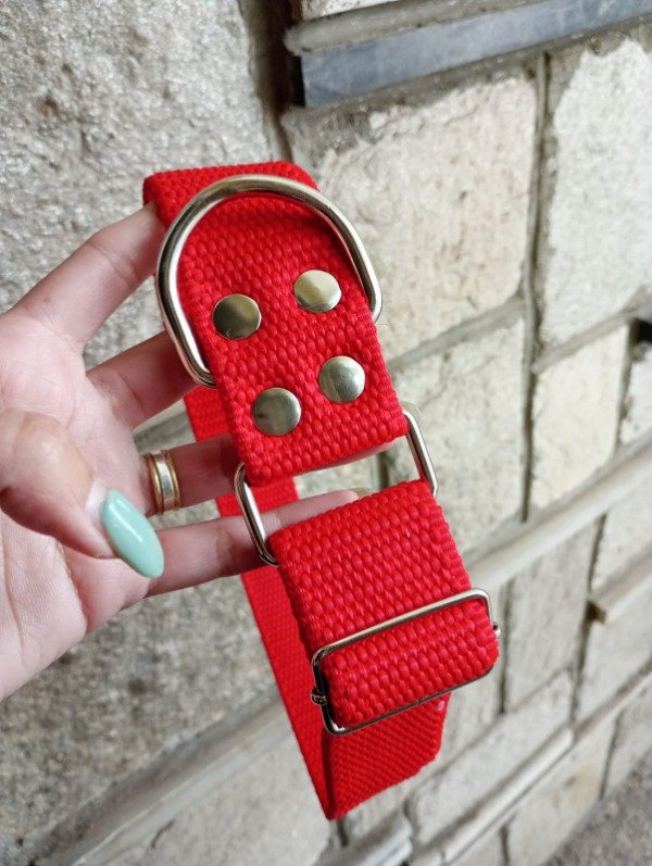 Producto - Collar nato mas correa 4 cm