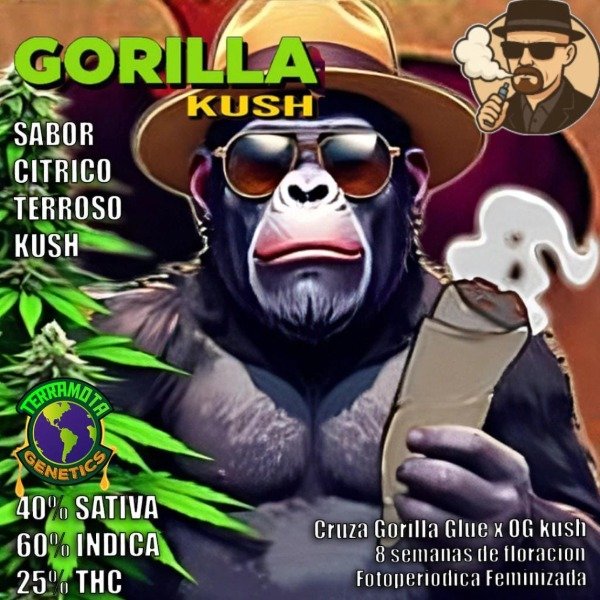 Producto - Gorila Kush