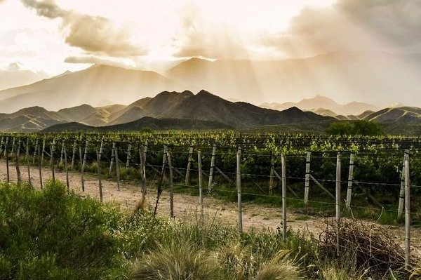 Producto - Paquete Mendoza. Ruta de Sabores y Valle de Uco