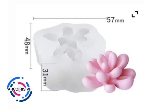 Producto - Molde suculenta 2