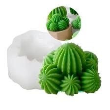 Producto - SUCULENTA 02H3