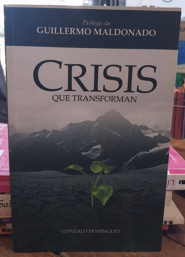 Producto - Crisis que transforman DOMINGUEZ