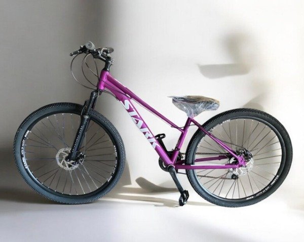 Producto - BICICLETA RISE STARK RODADO 29