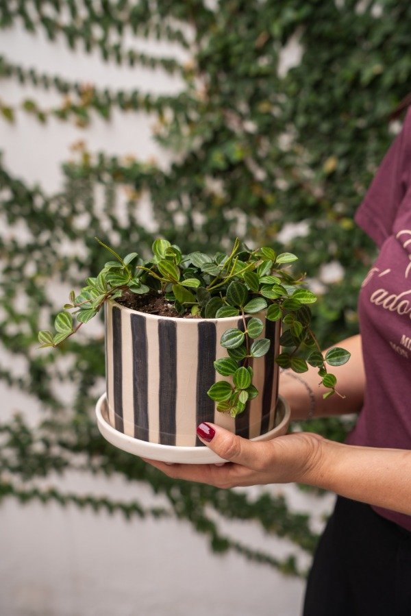 Producto - Maceta Cilindro Rayada con plato