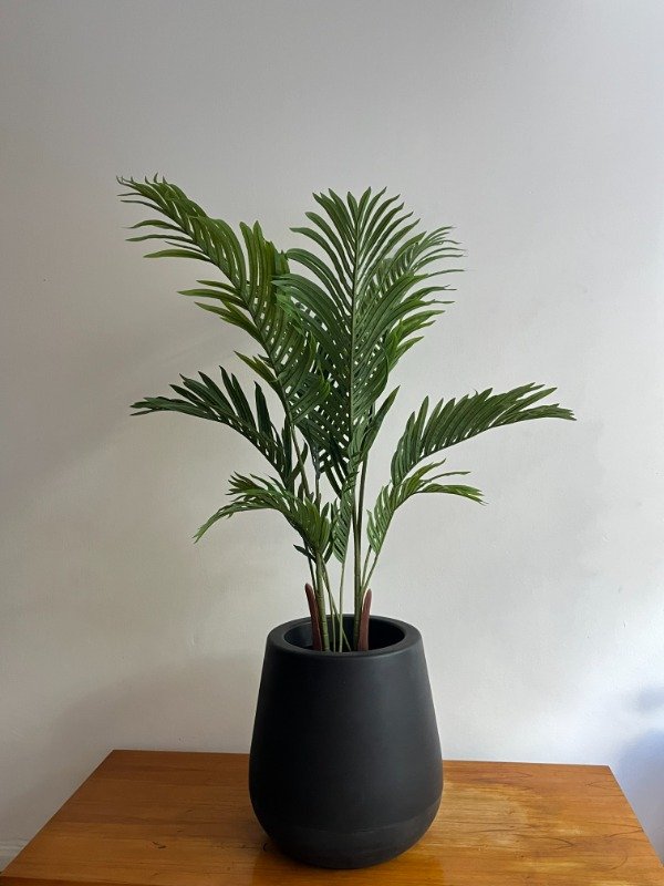 Producto - Palmera Areca Sin Riego 110cm