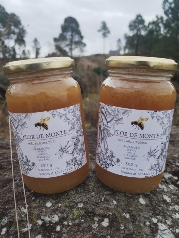 Producto - Miel de Monte Nativo "Flor de Monte" 500gr