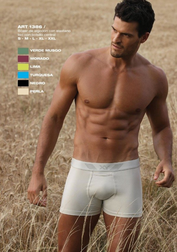 Producto - XY1386