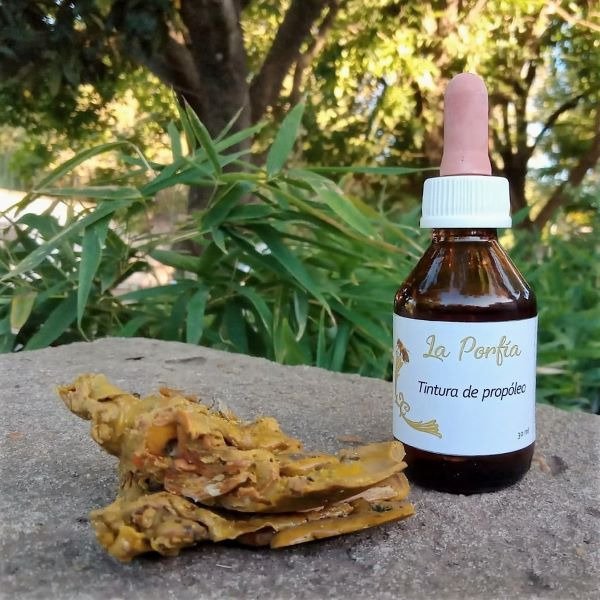 Producto - Tintura madre de propóleo La Porfía x 30 cc