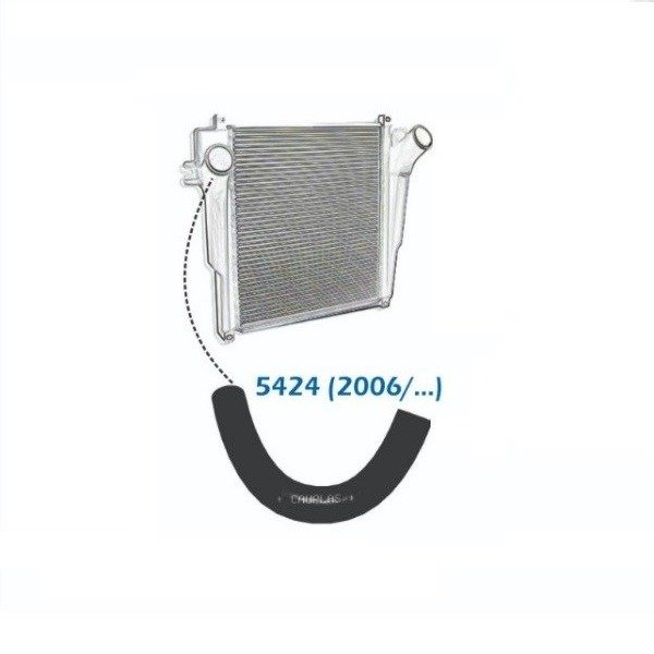 Producto - Manguera Turbo S10 MWM Electronica I